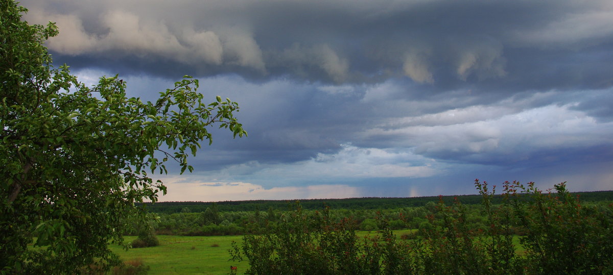 Смена погоды - Vladymyr Nastevych