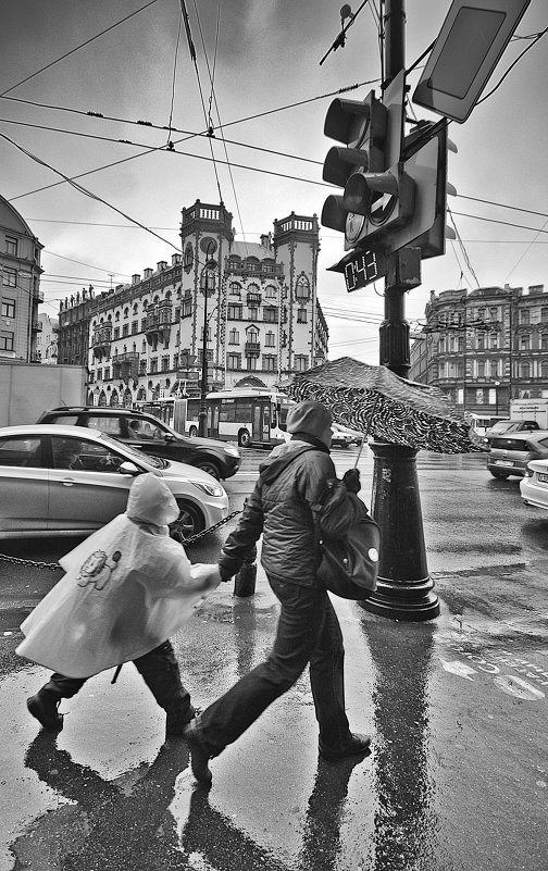 мокрый день - ник. петрович земцов