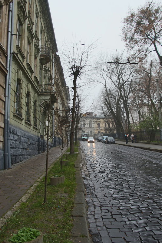 Львовские улицы - Людмила Шатова