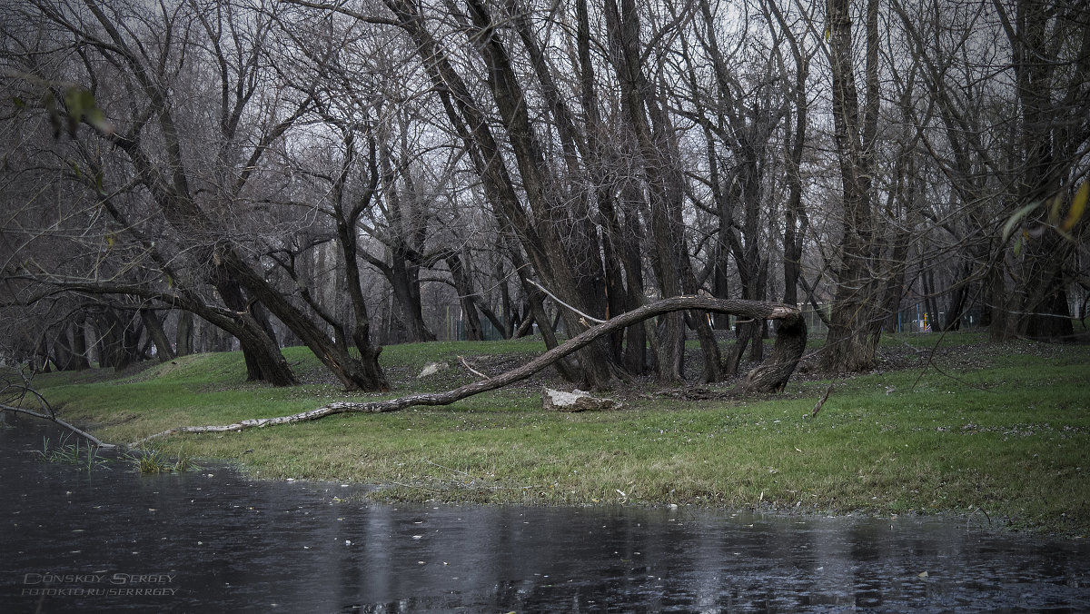 тяжесть жизни - Сергей Донской