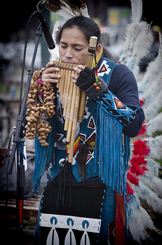 музыкант из Эквадора - ник. петрович земцов