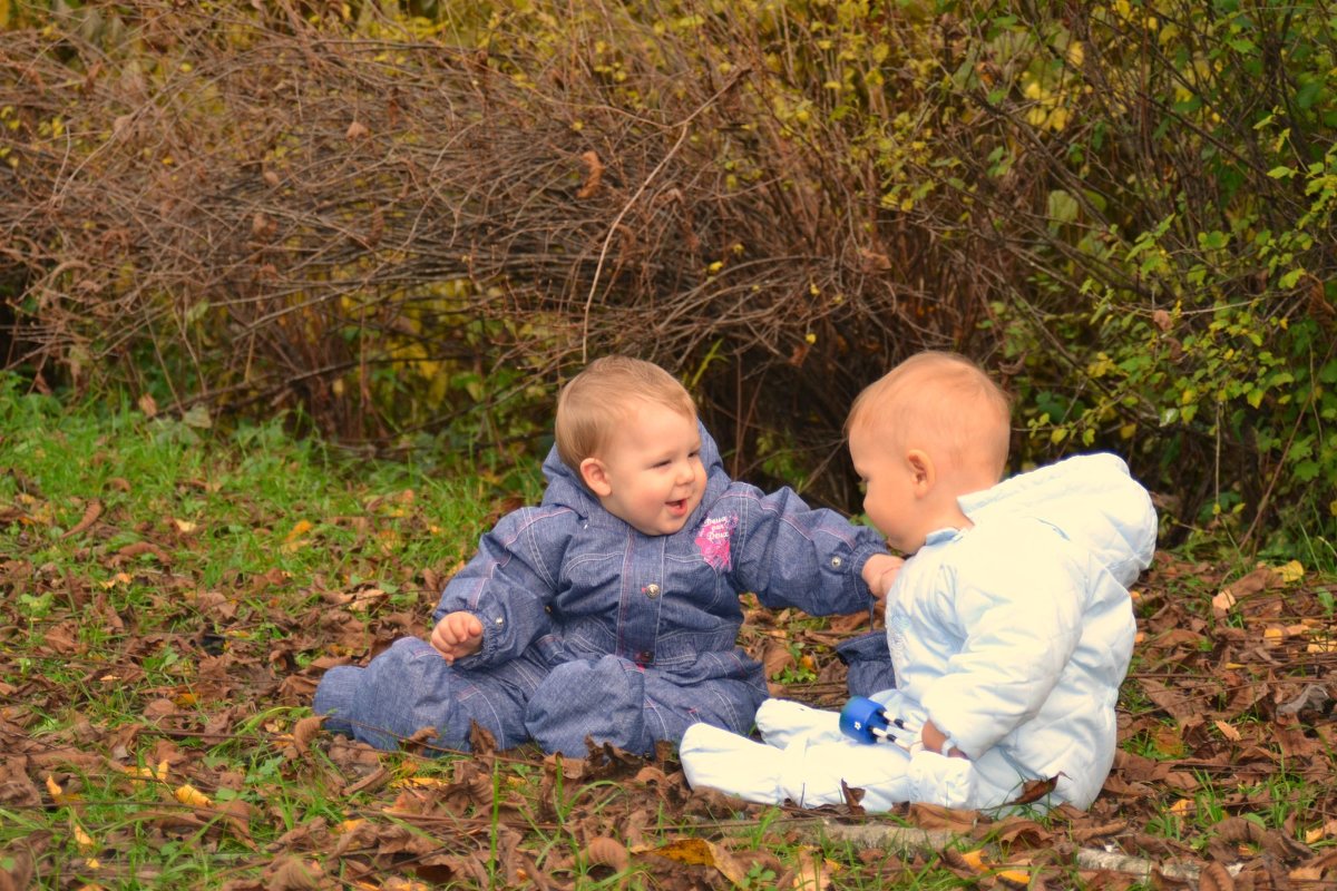 Дети в парке - Анна Носова