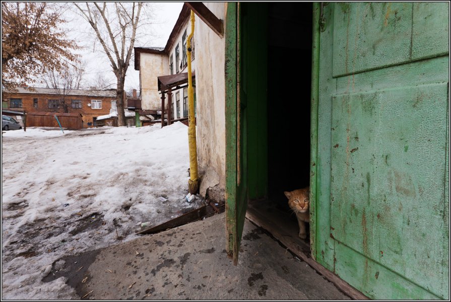 кто здесь - Андрей Коротнев