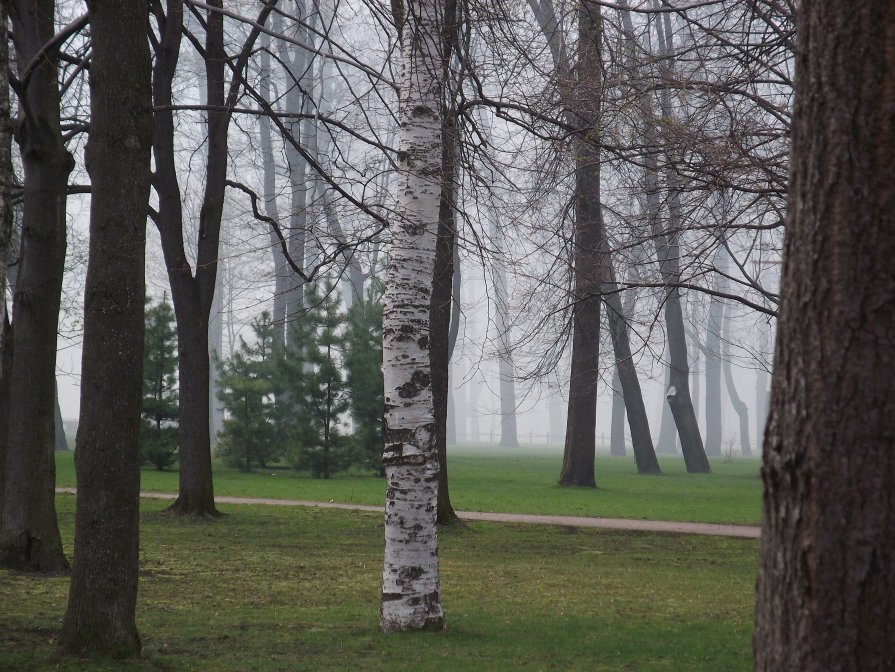 Петровский парк - Анастасия Барановская