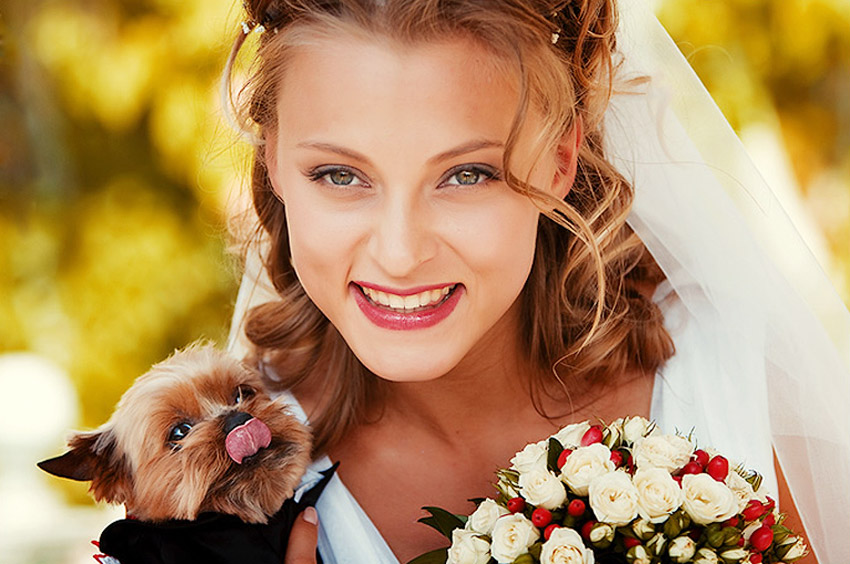 Портрет невесты с собачкой - Виктор Бабинцев