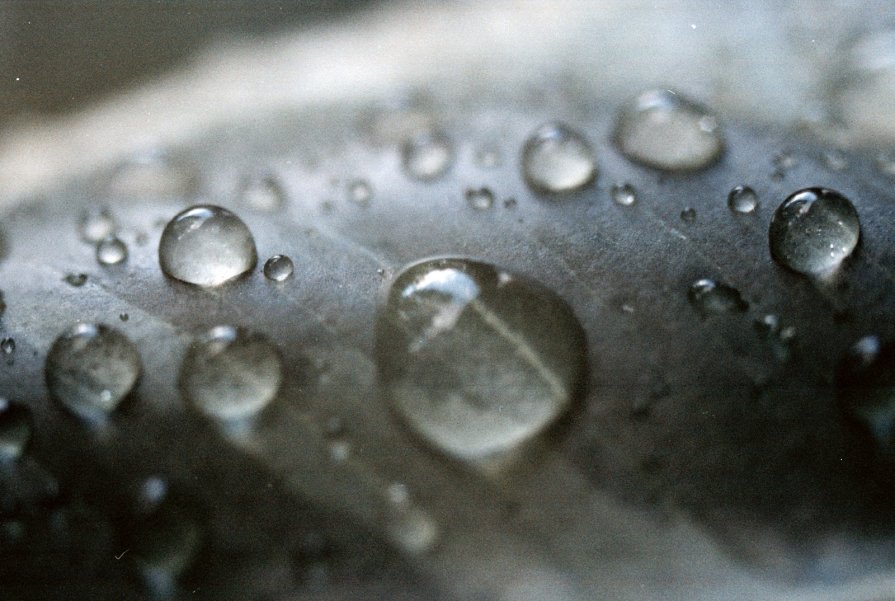 water drops - Anastasia GangLiON