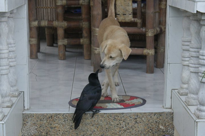 Pals. Mindoro. Philippines. - Eva Langue