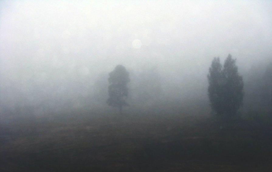 дождливое туманное утро - Екатерина Иванченко