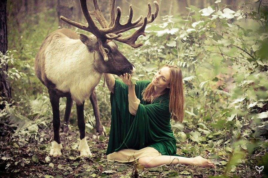 Сказочный лес - Марина Титова