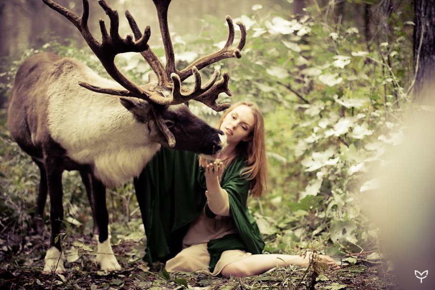 Сказочный лес - Марина Титова