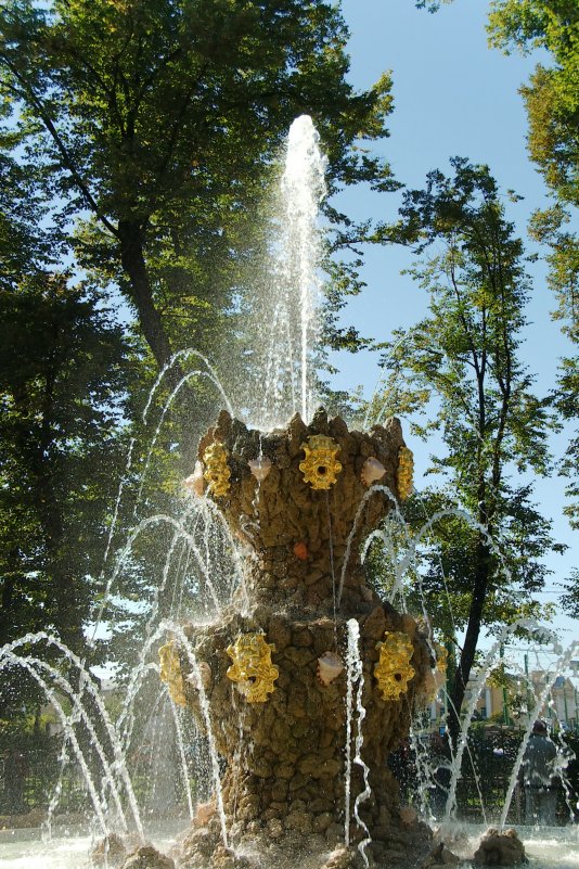 фонтан в Летнем саду - Алексей Кудрявцев