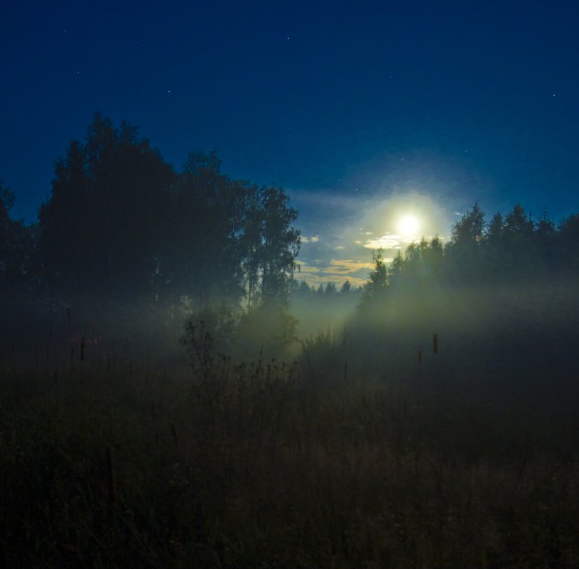 Лунная ночь - Сергей Можаров