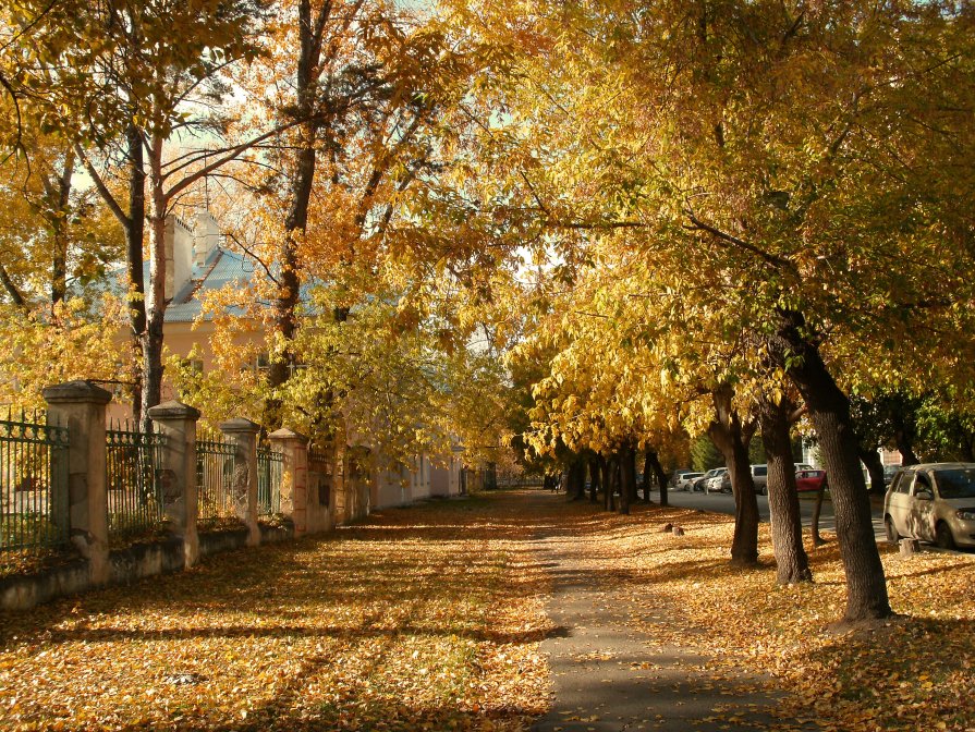 город золотой - Елена Баландина