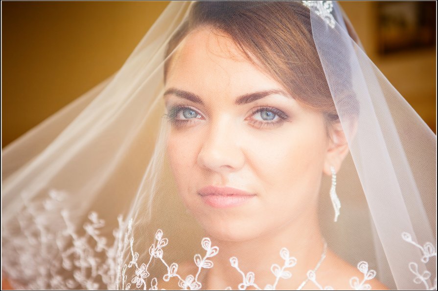 WEDDING 2012 - Дмитрий Титов