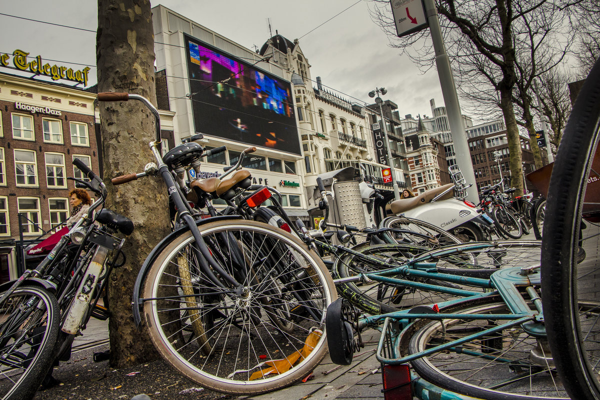 Amsterdam - Николай 