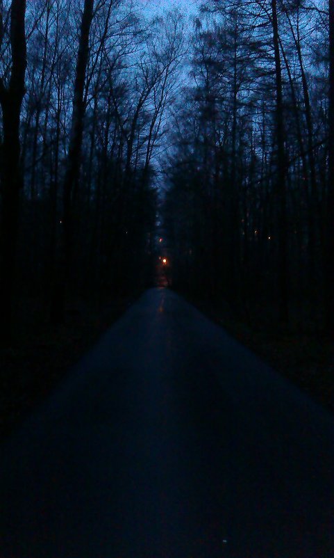 В темно-синем лесу...) - Ирина A