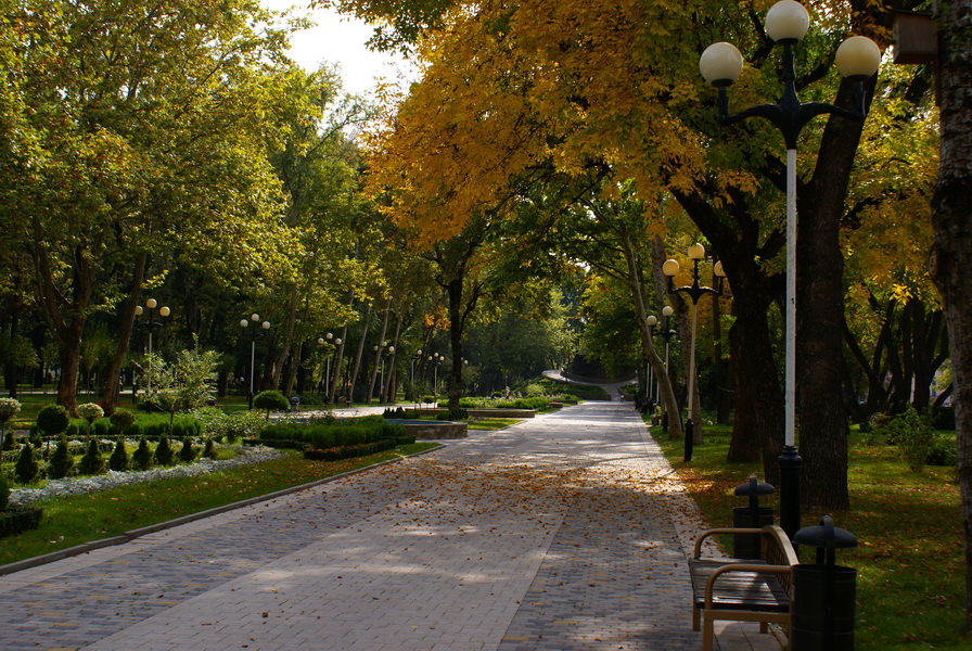 Городской парк - Serega Денисенко