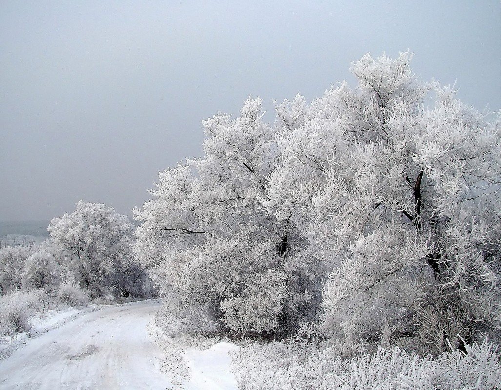 Зима  как  зима. - Vlad Borschev