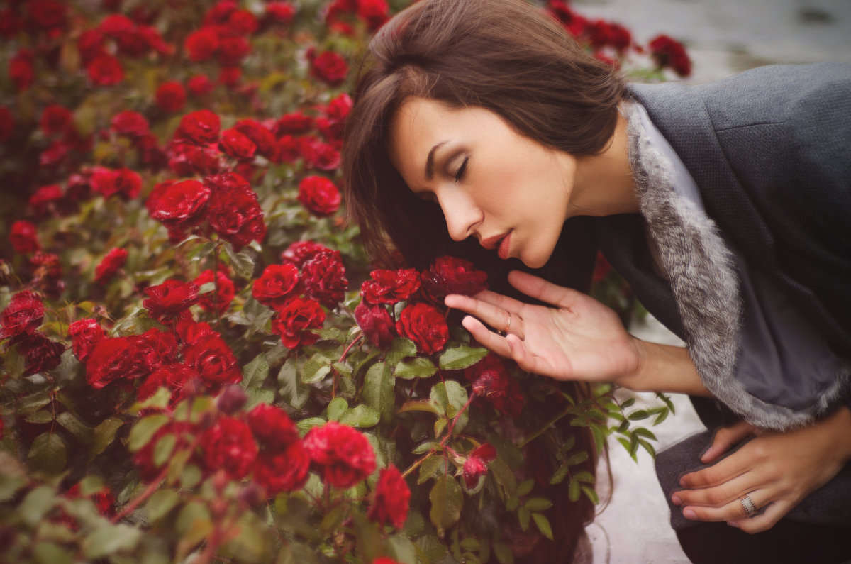 аромат роз - Любовь Kozochkina