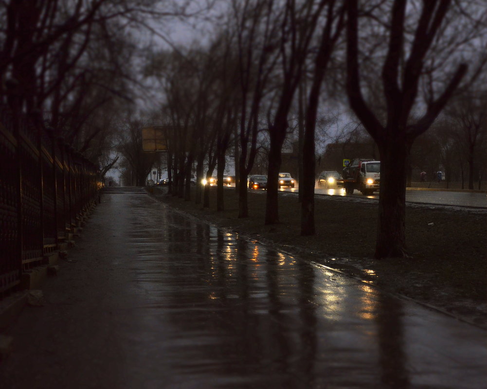 Дождь - Ирина Корпачева