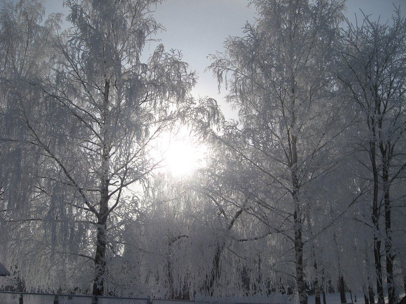 Зимнее солнце - Alena Cyargeenka