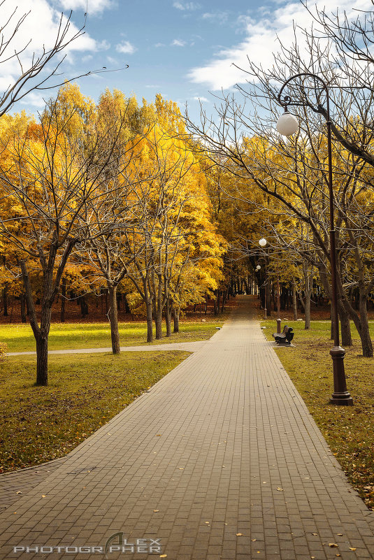 Autumn in Minsk - Alex Okhotnikov