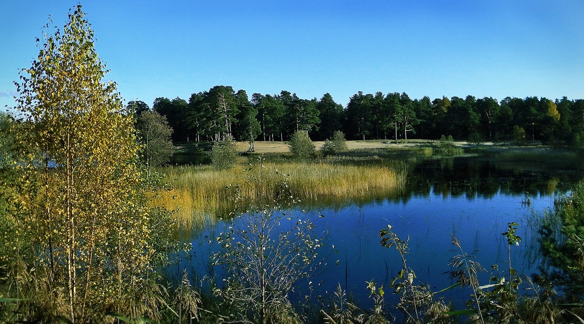 озера латвии