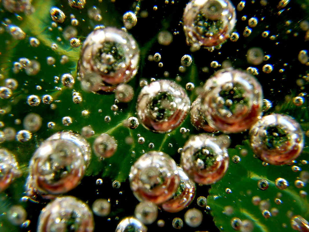 bubbls - Андрей Столяров