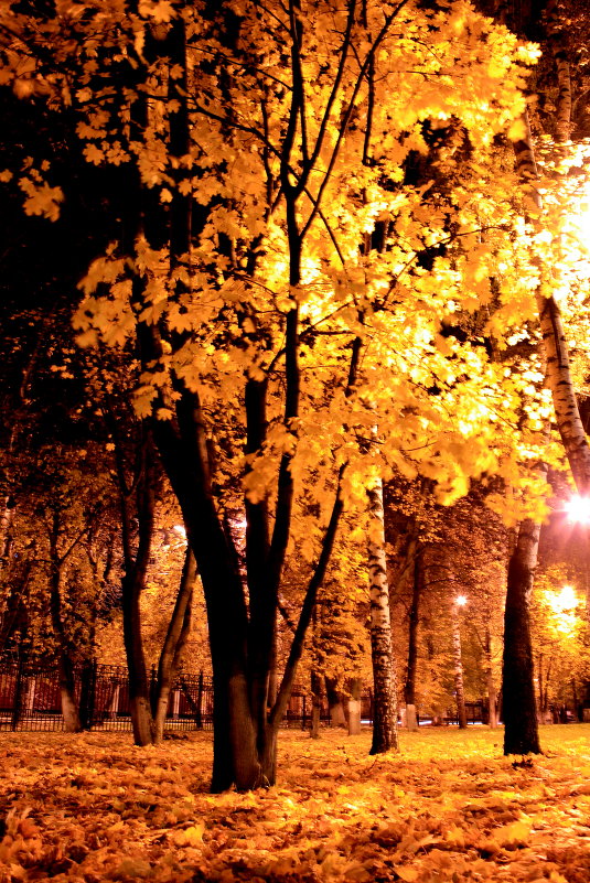 Осень - Иван 