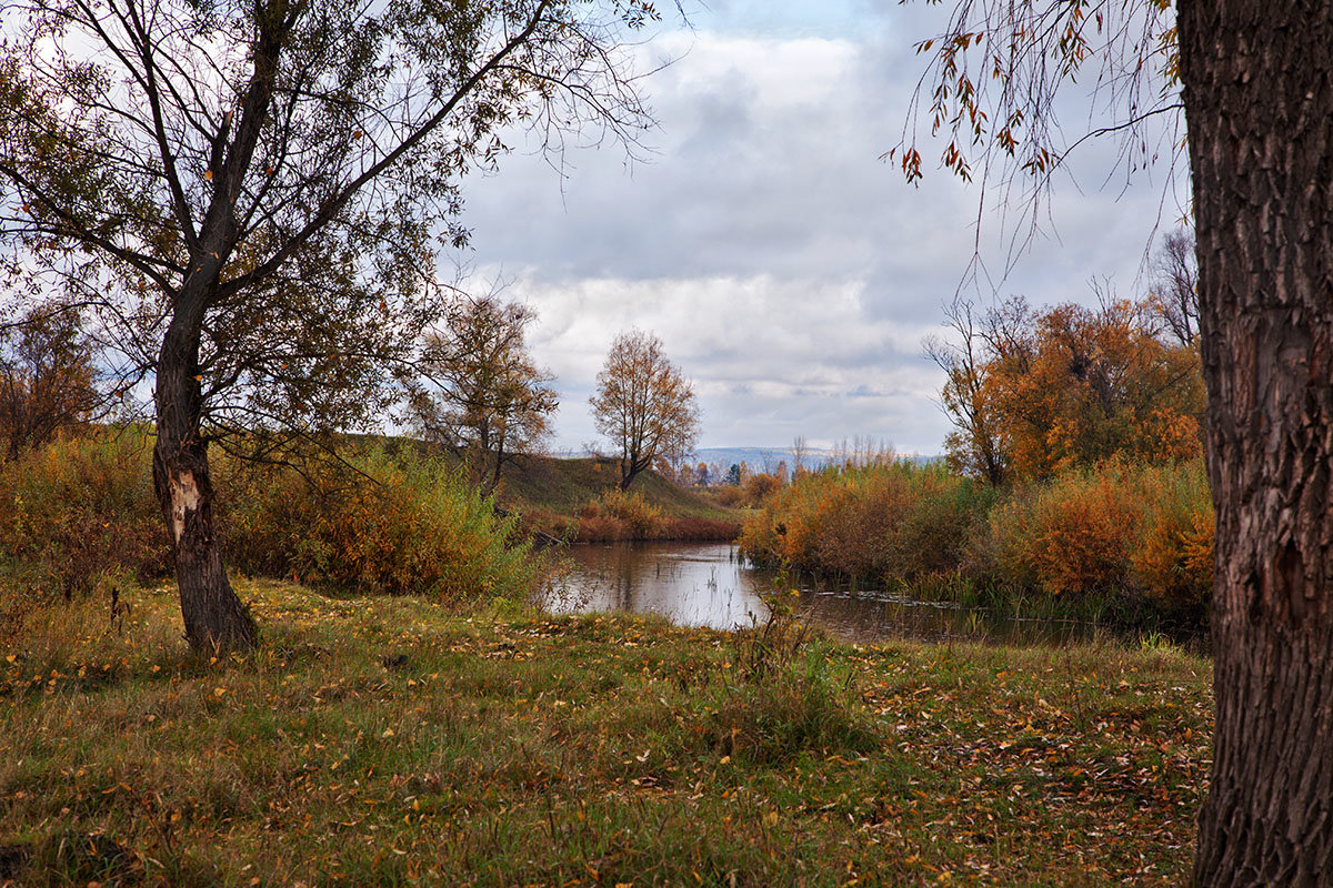 ... - зоя полянская 