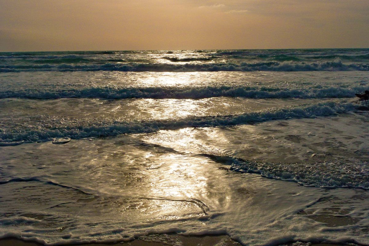 море, солнце, вечер... - Андрей Козлов