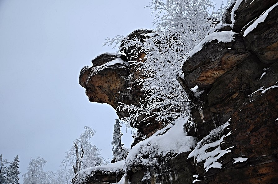 *** - Денис Нечаев