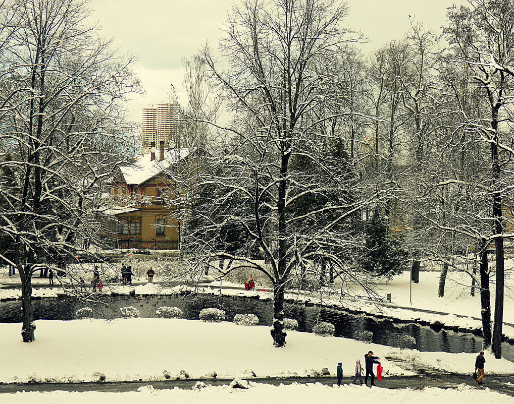 Зимний город - Любовь Изоткина