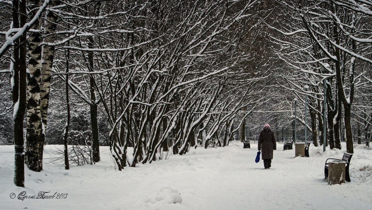 Зима - Сергей Басов