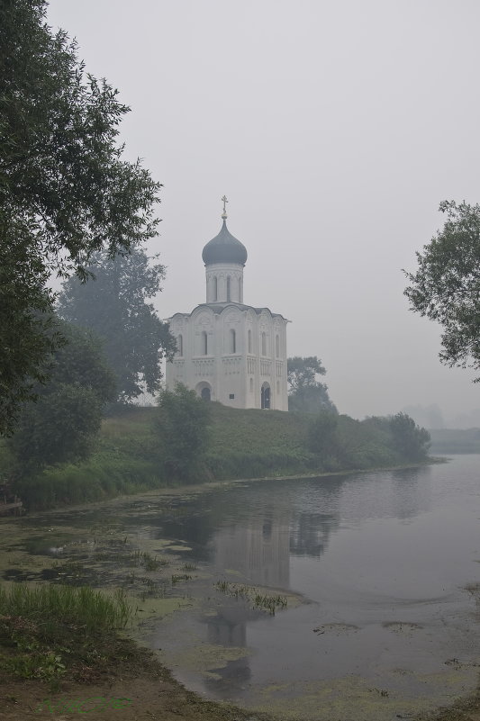 Церковь Покрова на Нерли. - NikOl .