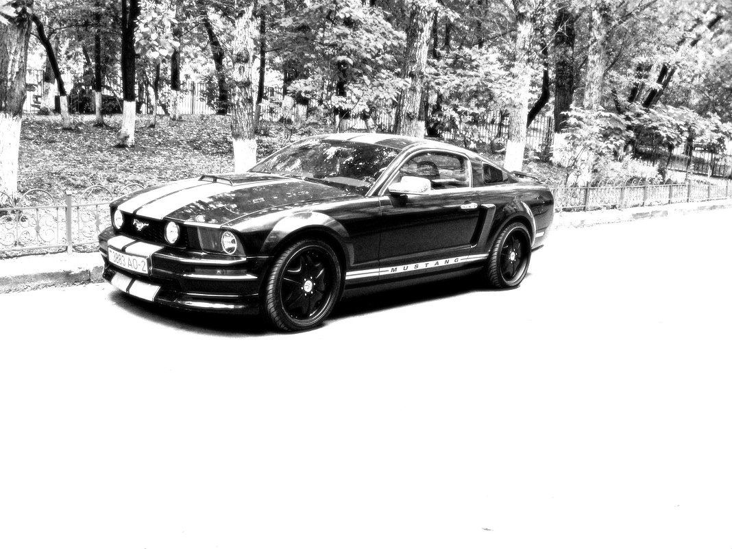 Shelby Mustang - Андрей Сорокин