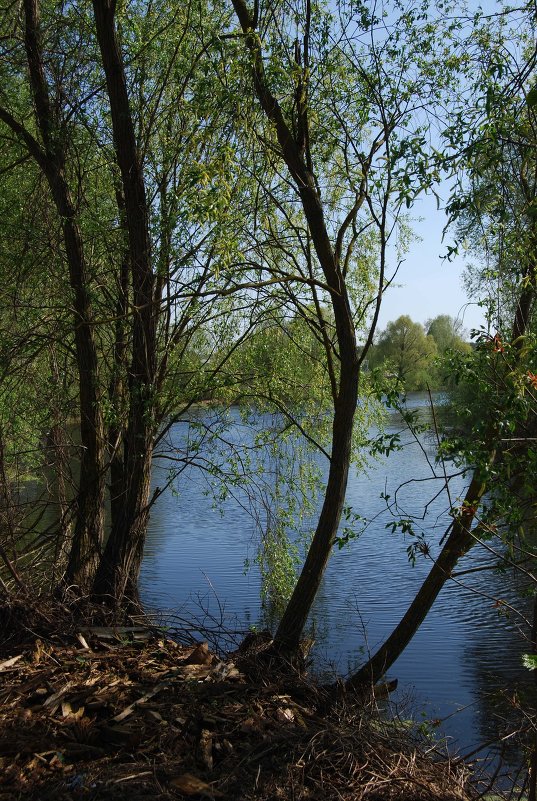 Река - Анна Чигряй