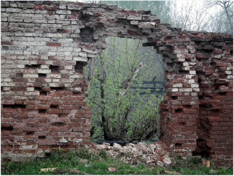 Окно в природу - Галина (Stela) Кожемяченко