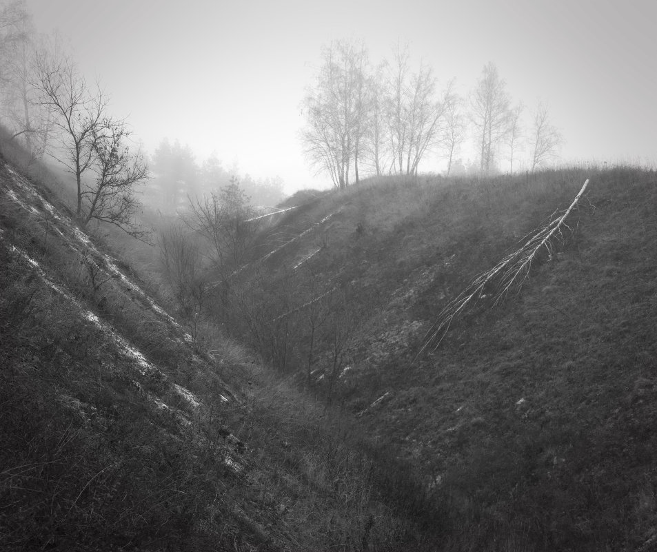 туманным утром - Александра Лазукова