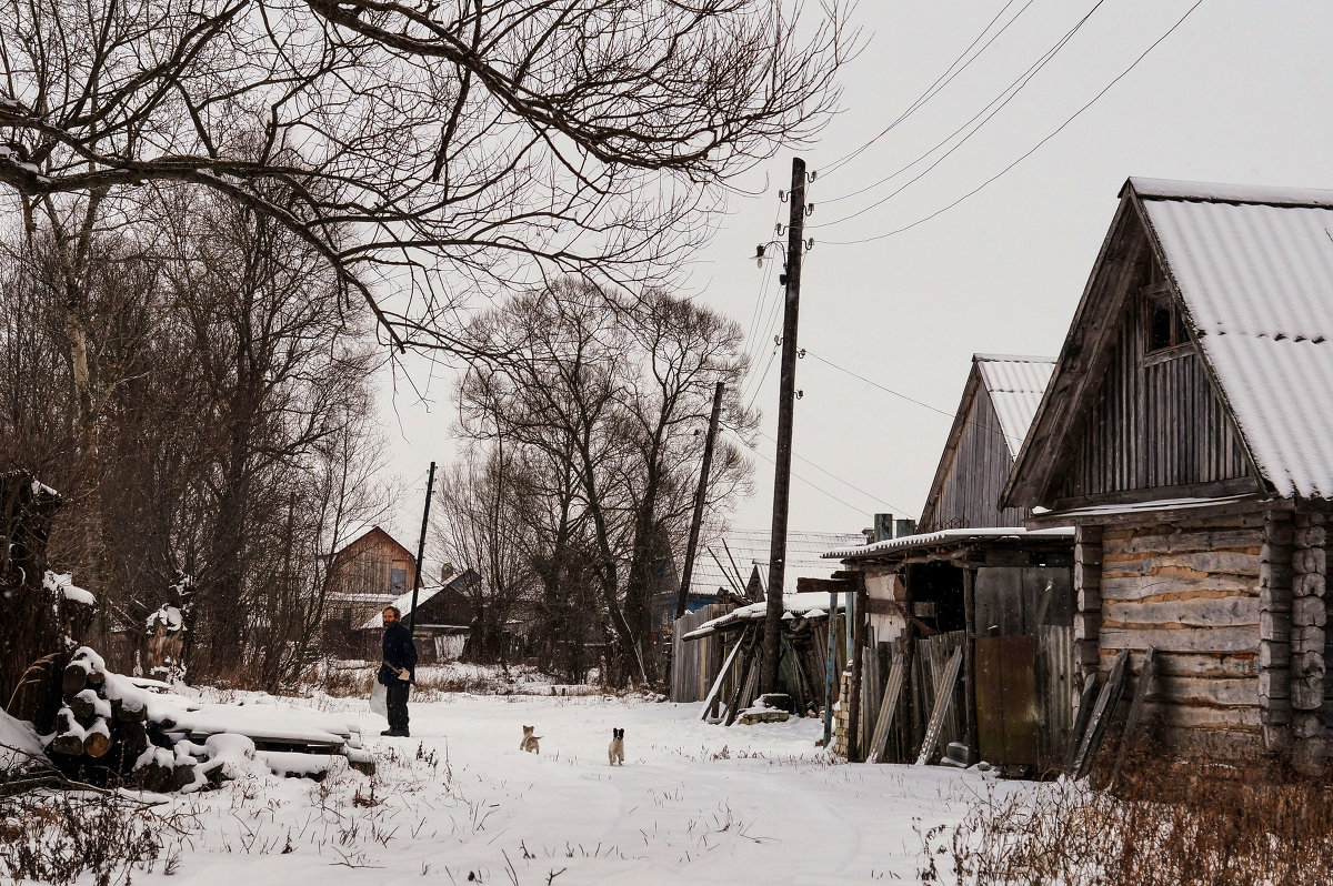 зима в деревне - ольга кривашеева
