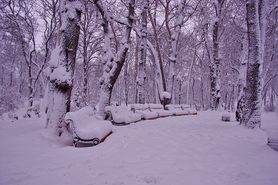 Заснеженный парк - Олег Самотохин