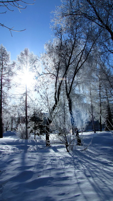 Рисует солнце синим на снегу... - Марина Морозова