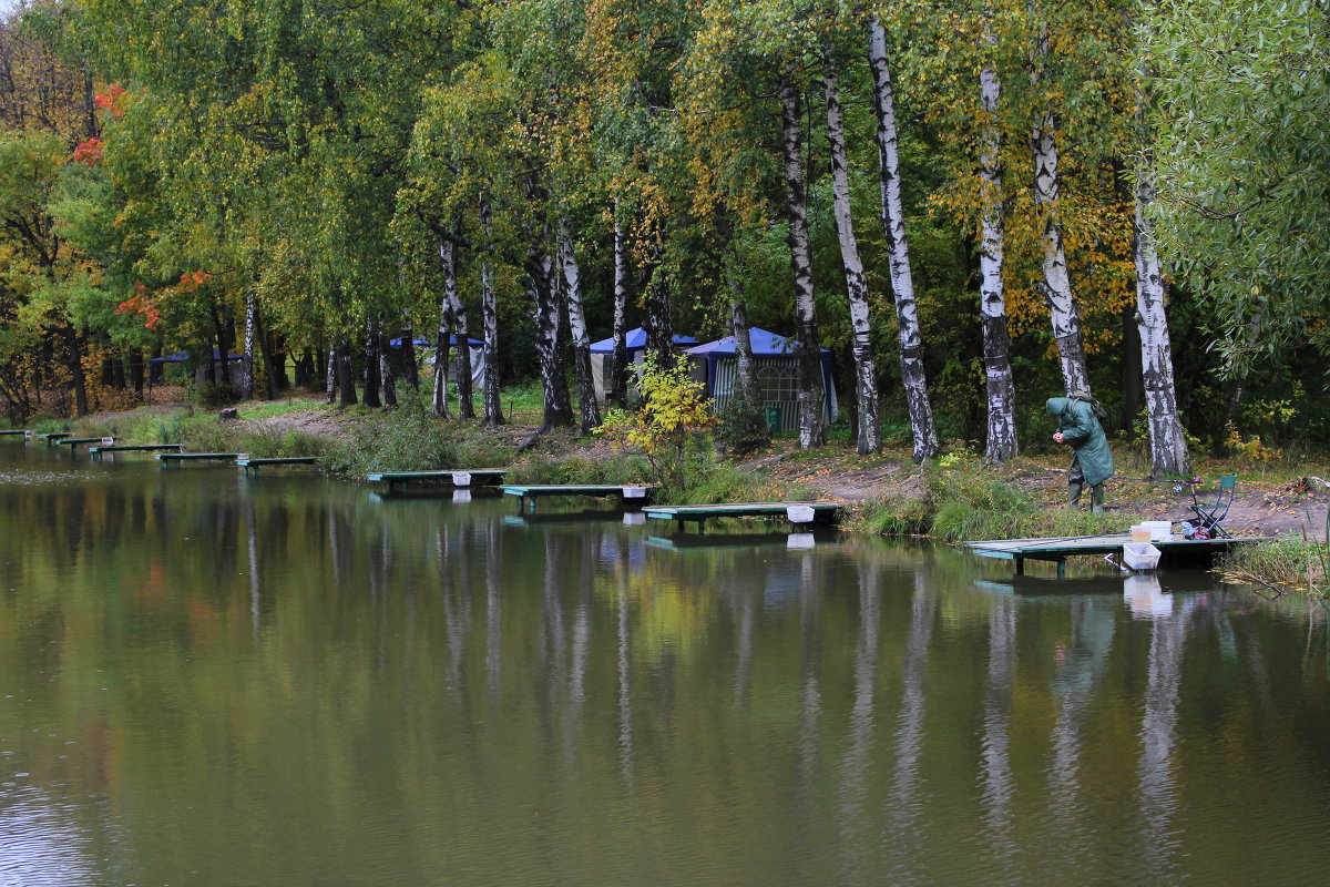 Осень в тропарево - Николай Орехов