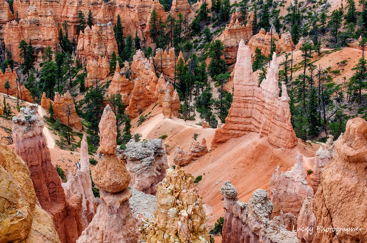 Bryce Canyon - Lucky Photographer