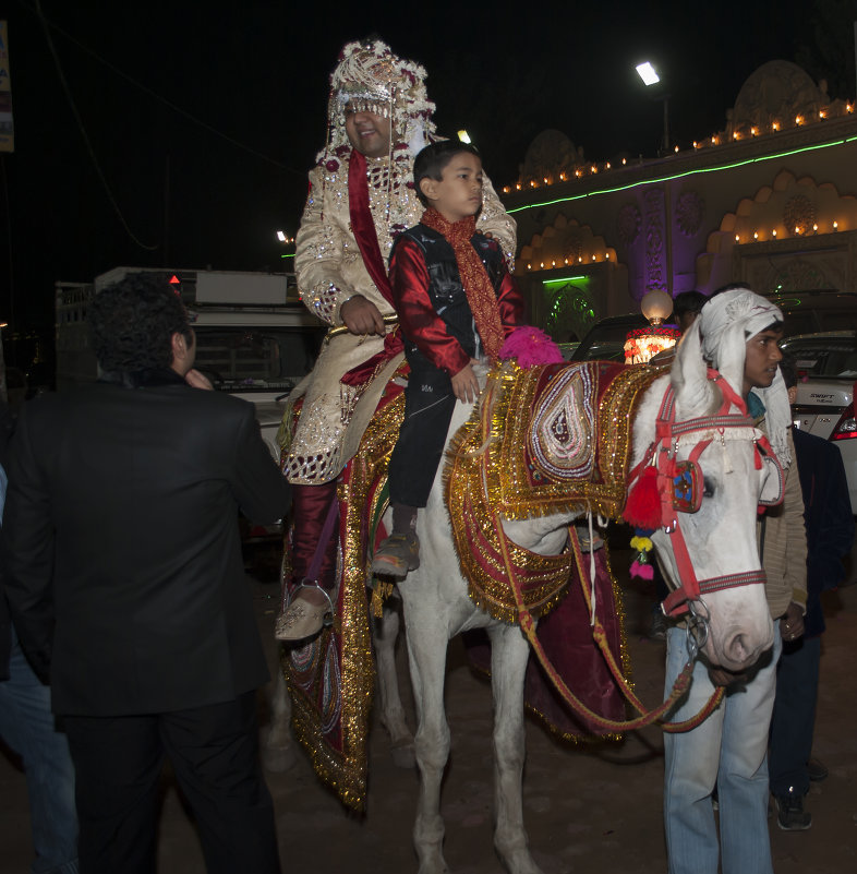 как и положено жених в Индии приезжает на свадьбу на белом коне! - Дарья Петрищева