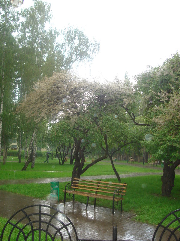 Парк Ушинского - Ольга Дувалкина