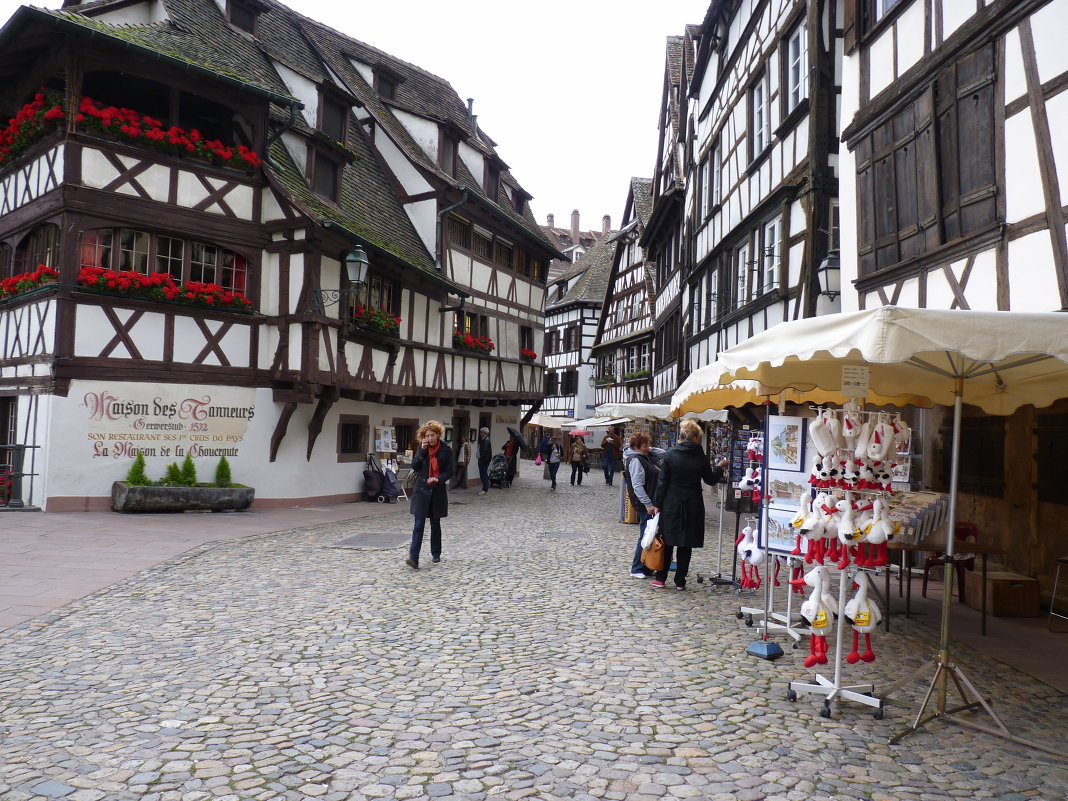 Страсбург - Геннадий 