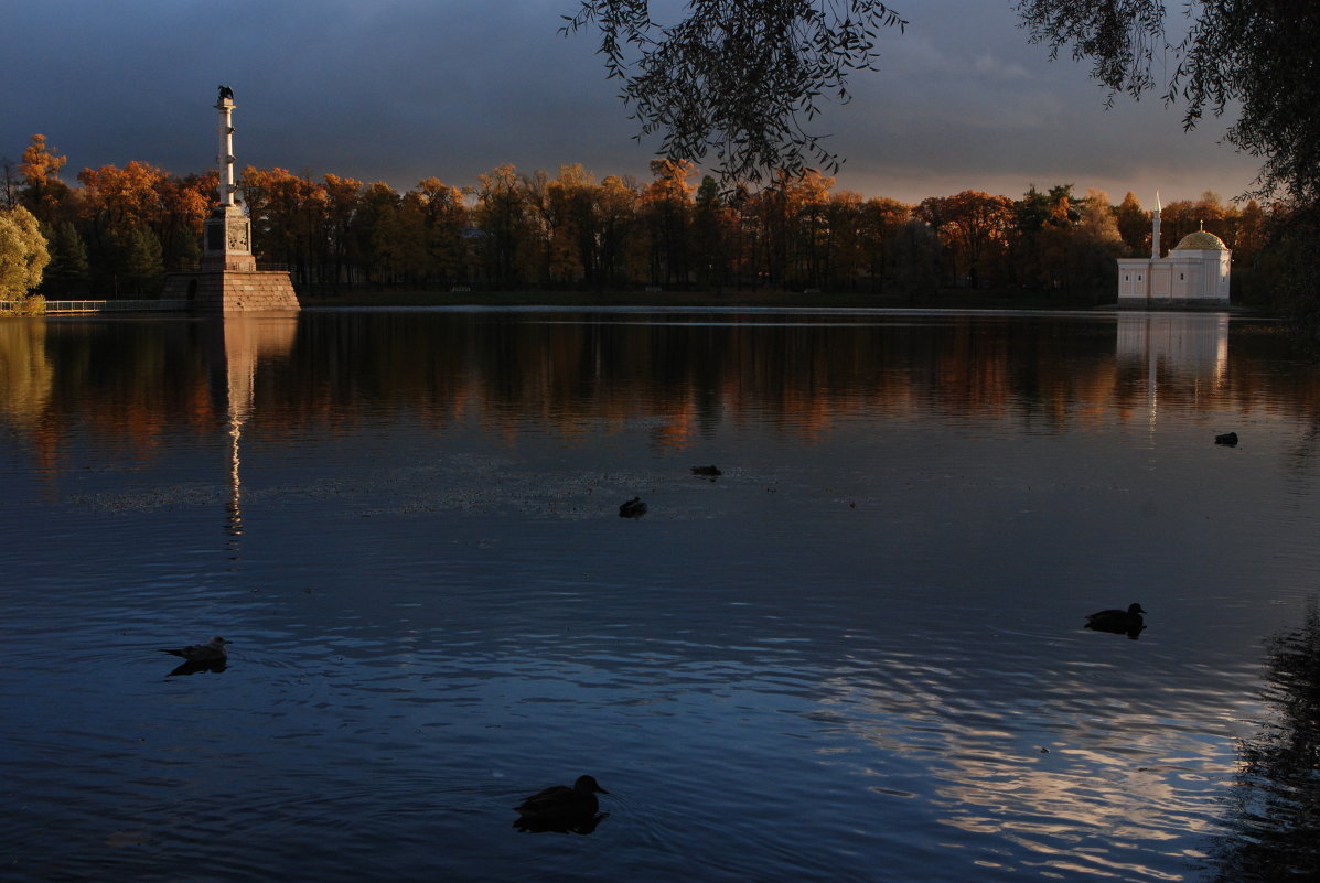 Осенний пейзаж в Екатерининском парке Царского села. - Харис Шахмаметьев