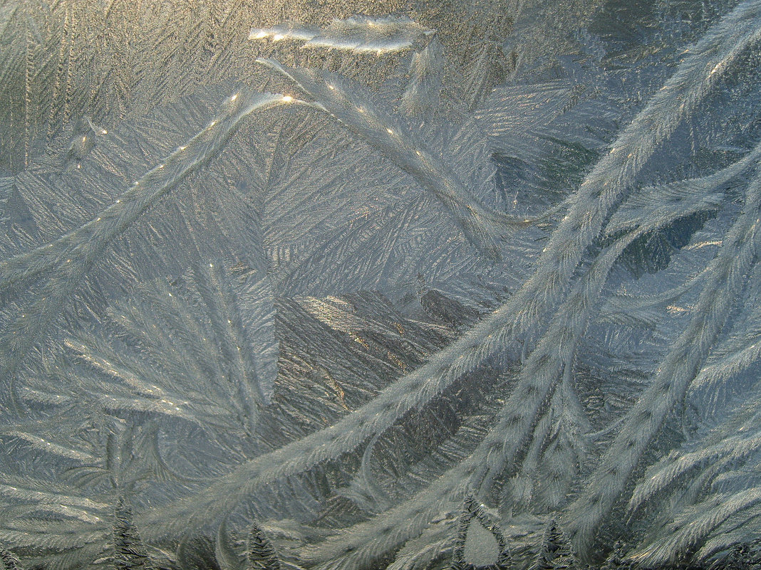 Рисует узоры мороз на оконном стекле - Ирина Приходько