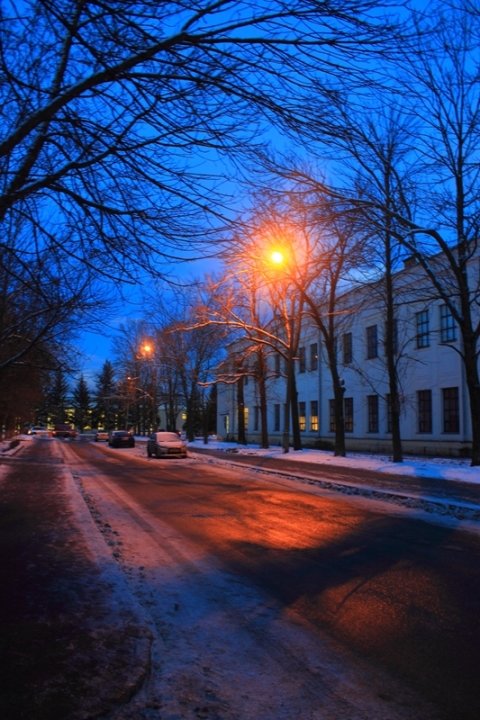 Вечерняя улица - Анна Букина